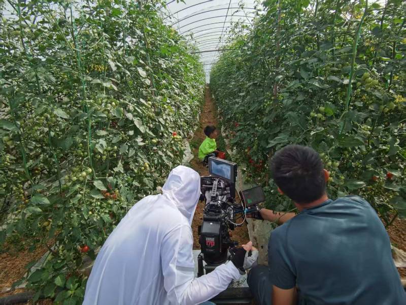 万源市产品宣传视频拍摄公司进阶指南，助力品牌抢占传播高地